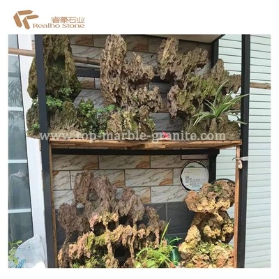 Harga Kilang Batu Naga Ohko Batu Langgar Untuk Hiasan Tangki Akuarium